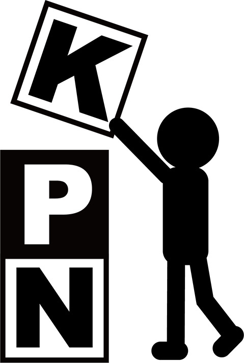 株式会社K PLIZE NEXUS