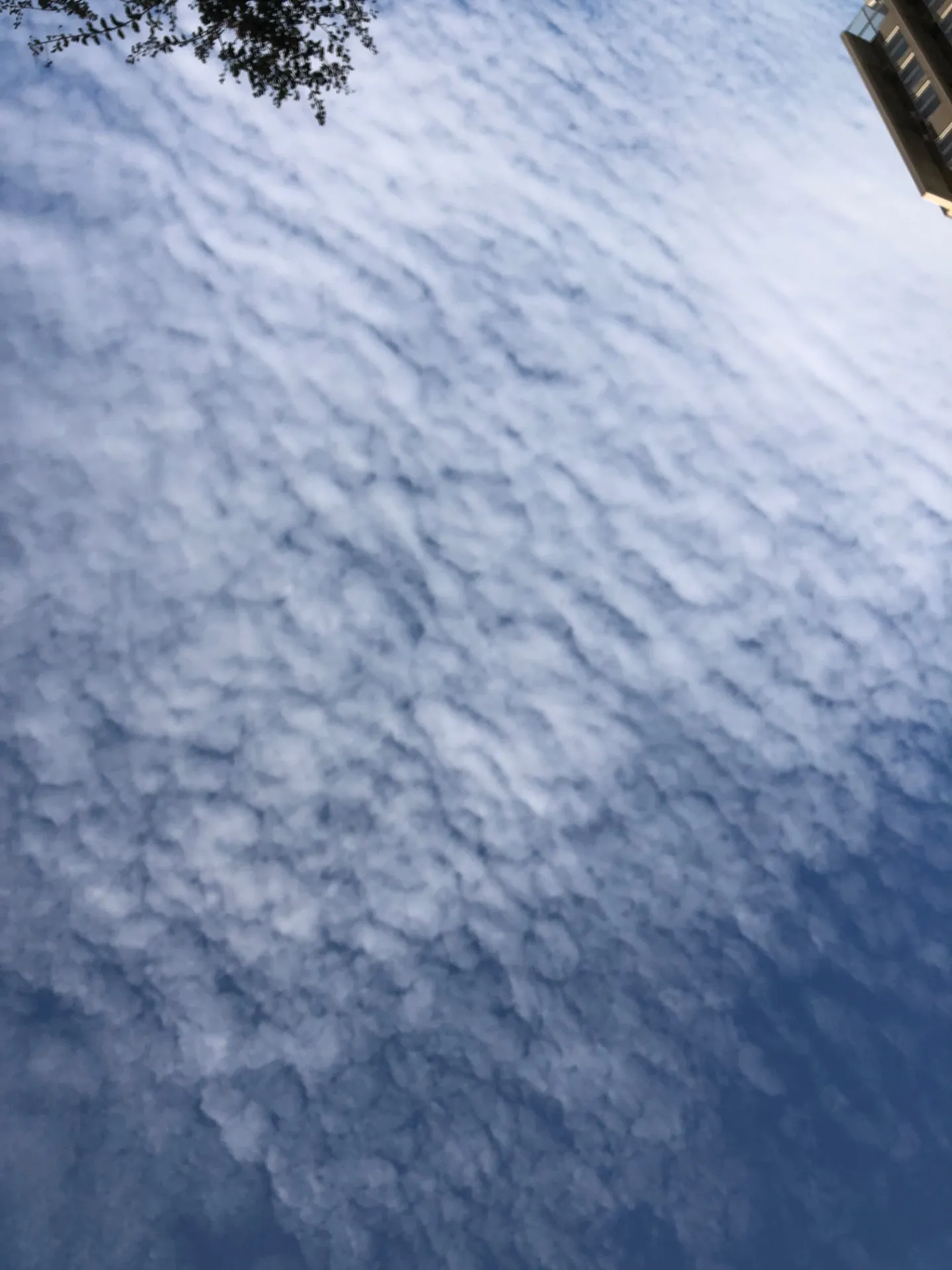 今日も1日の現場を終え帰ってきました